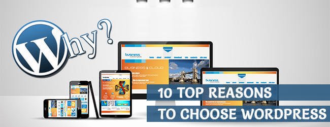 Why to Choose WordPress