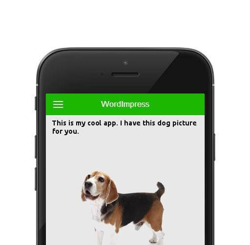 WordPress Mobile App 8
