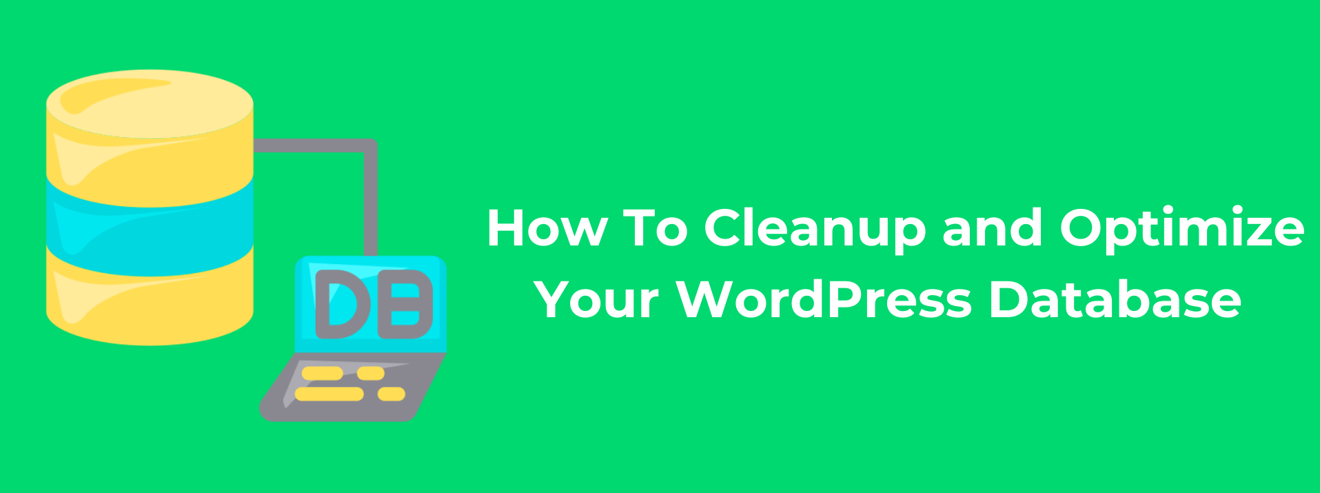 Clean Up WordPress Database
