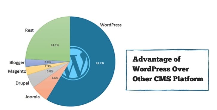 WordPress CMS Platform