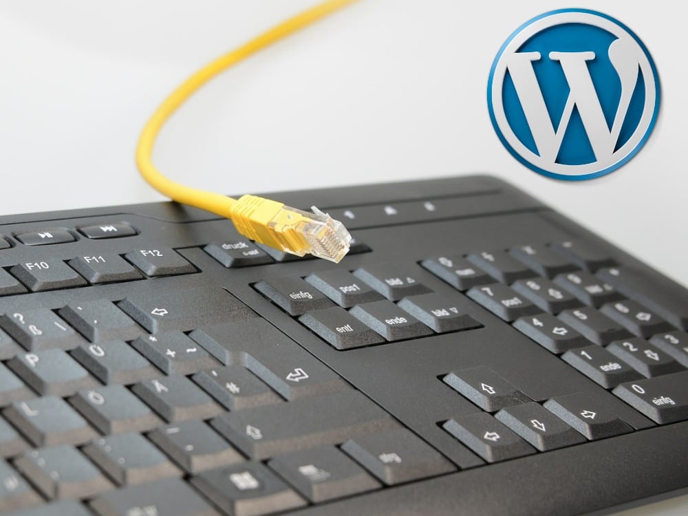 Factors To Consider When Using WordPress Plugins