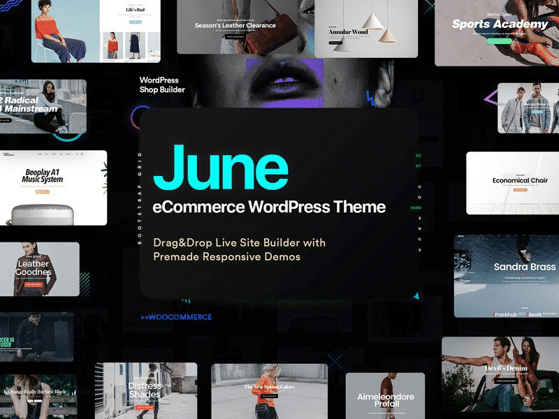 Best WordPress Shop Themes