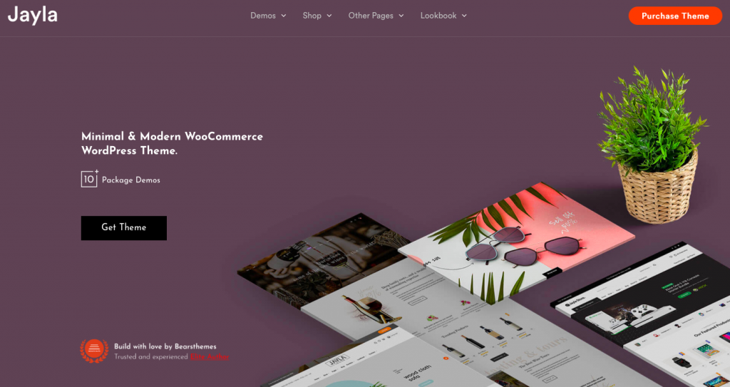 Best WordPress Shop Themes